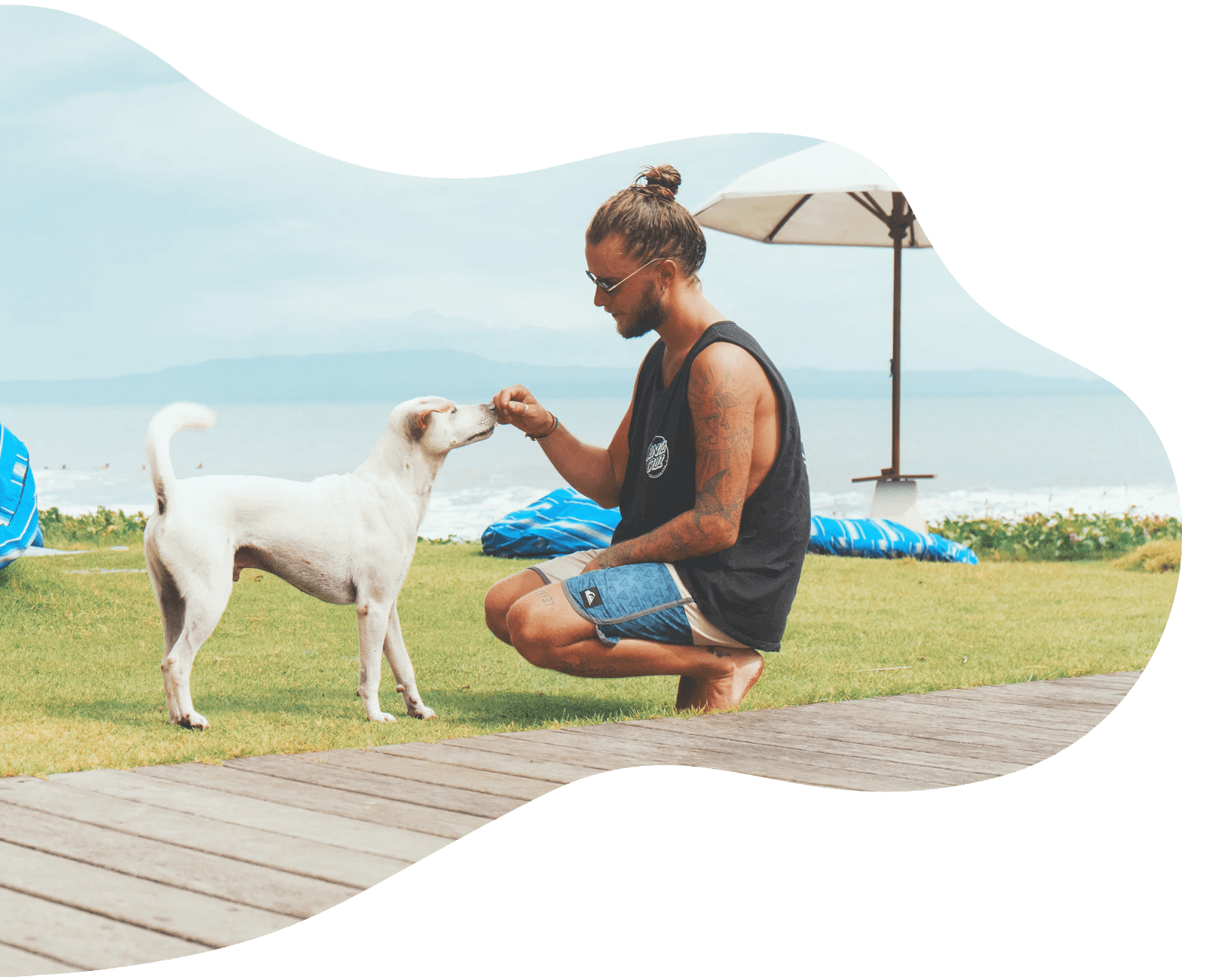 small dog interacting with its owner playfully